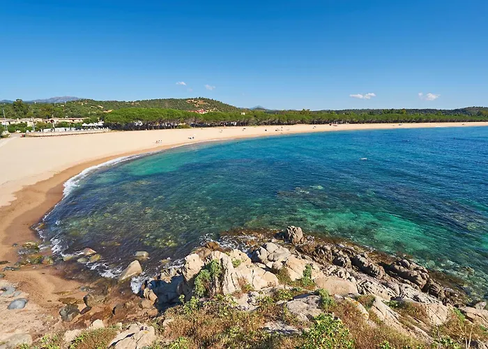 House * Кардеду